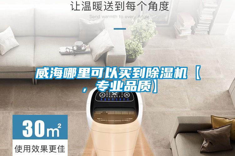 威海哪里可以買到除濕機(jī)【，專業(yè)品質(zhì)】