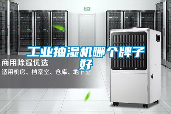 工業(yè)抽濕機哪個牌子好