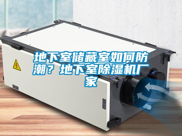 地下室儲(chǔ)藏室如何防潮？地下室除濕機(jī)廠家