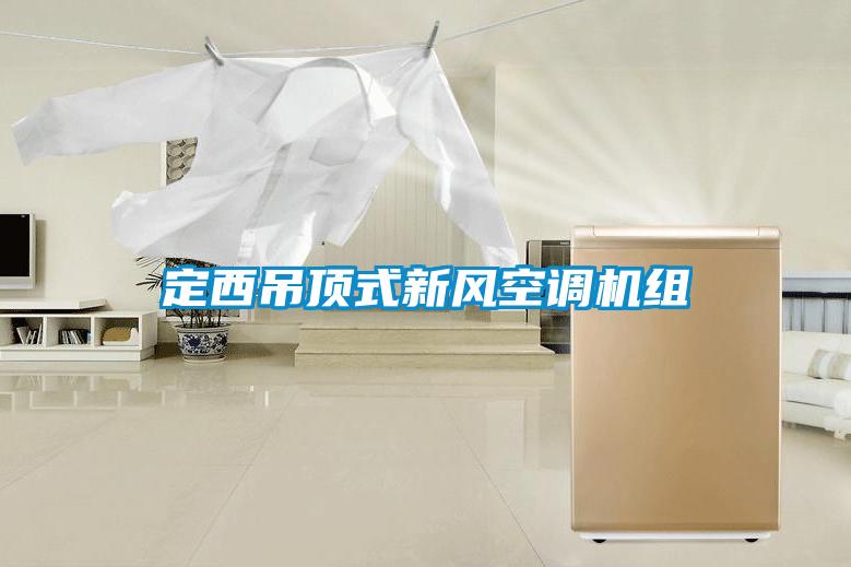 定西吊頂式新風(fēng)空調(diào)機組