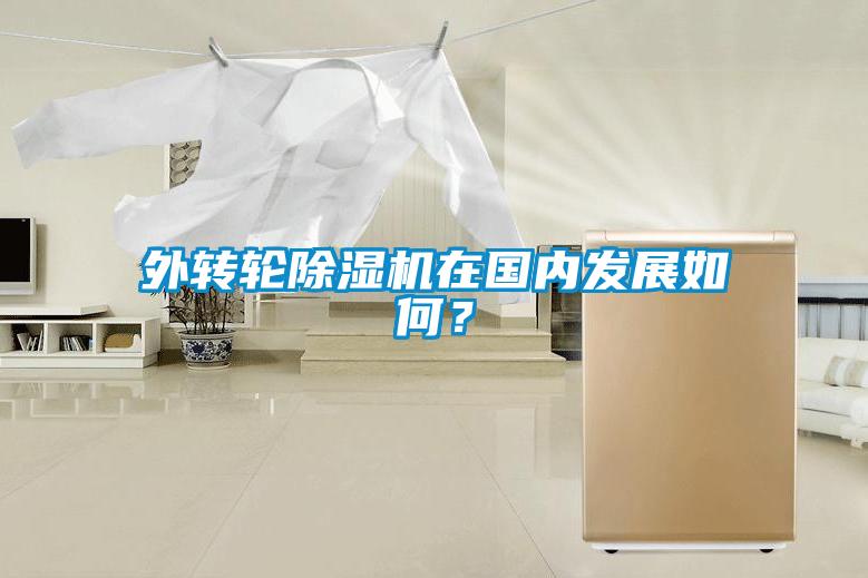 外轉(zhuǎn)輪除濕機在國內(nèi)發(fā)展如何？