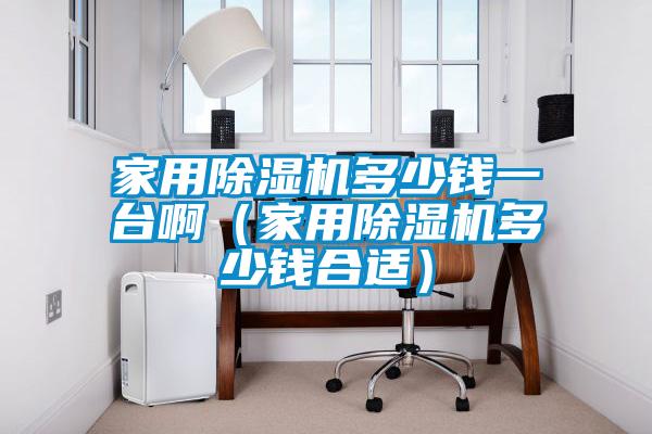 家用除濕機(jī)多少錢一臺(tái)?。矣贸凉駲C(jī)多少錢合適）