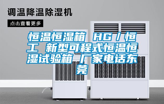恒溫恒濕箱 HG／恒工 新型可程式恒溫恒濕試驗(yàn)箱 廠家電話(huà)東莞