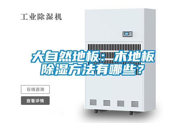 大自然地板：木地板除濕方法有哪些？