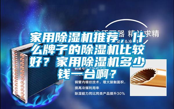 家用除濕機(jī)推薦，什么牌子的除濕機(jī)比較好？家用除濕機(jī)多少錢一臺?。?/></p>
						    <p style=