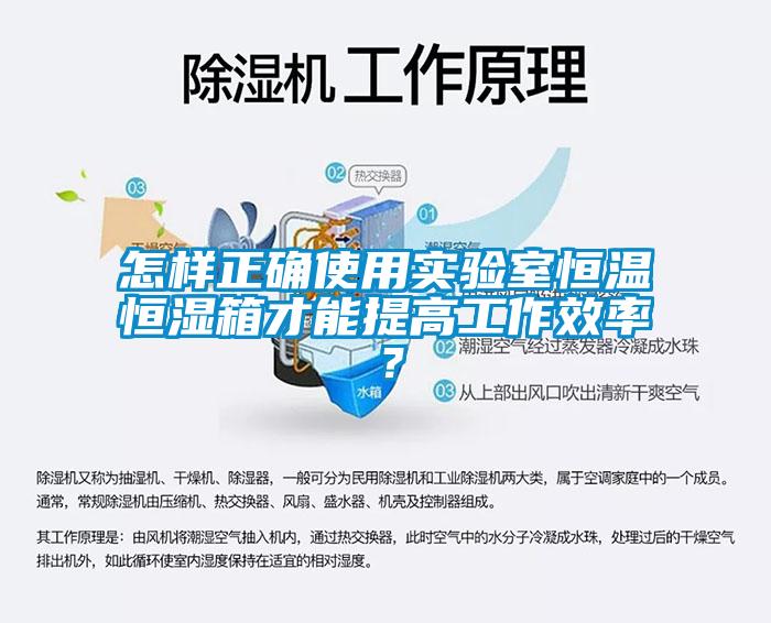 怎樣正確使用實(shí)驗(yàn)室恒溫恒濕箱才能提高工作效率？