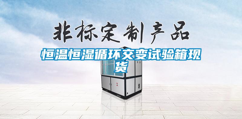 恒溫恒濕循環(huán)交變試驗(yàn)箱現(xiàn)貨