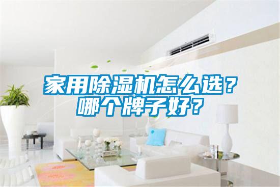 家用除濕機(jī)怎么選？哪個(gè)牌子好？