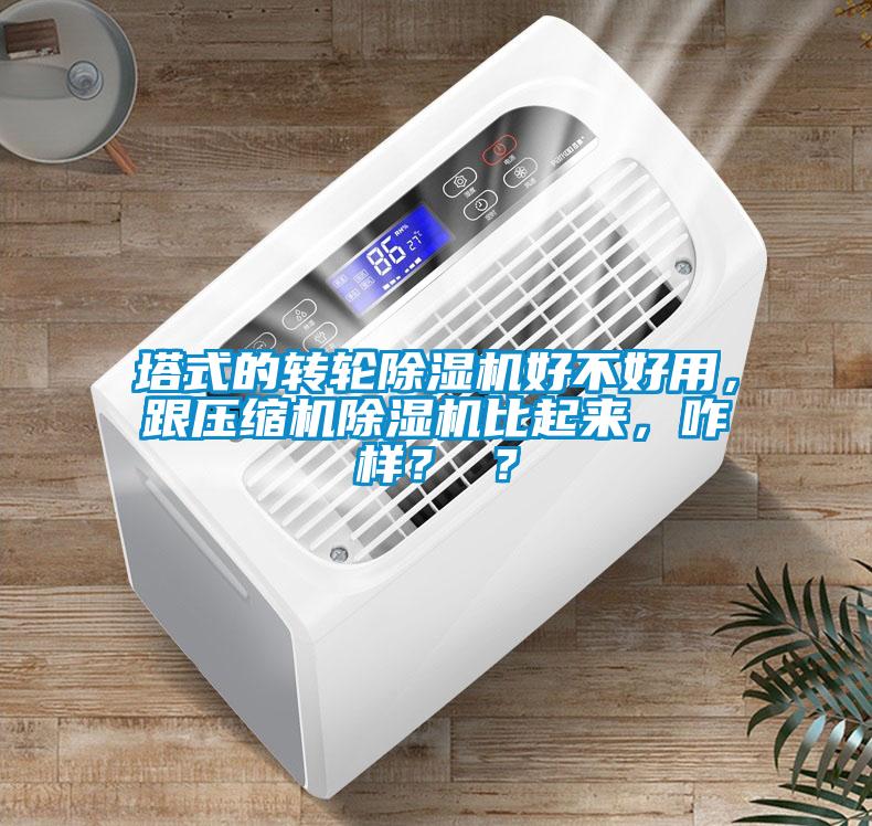 塔式的轉(zhuǎn)輪除濕機(jī)好不好用，跟壓縮機(jī)除濕機(jī)比起來，咋樣？ ？