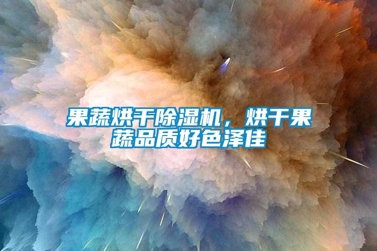 果蔬烘干除濕機(jī)，烘干果蔬品質(zhì)好色澤佳