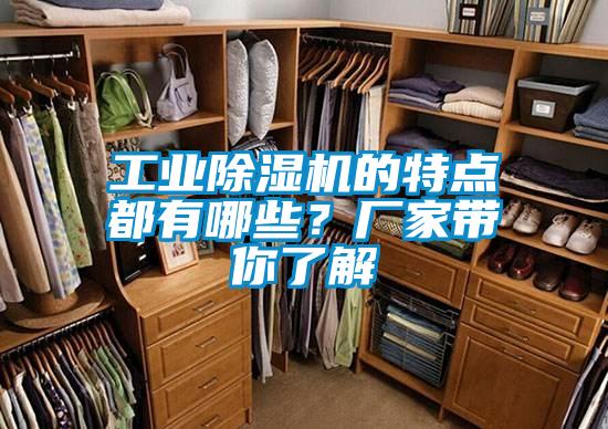 工業(yè)除濕機(jī)的特點(diǎn)都有哪些？廠家?guī)懔私?/></p>
						    <p style=