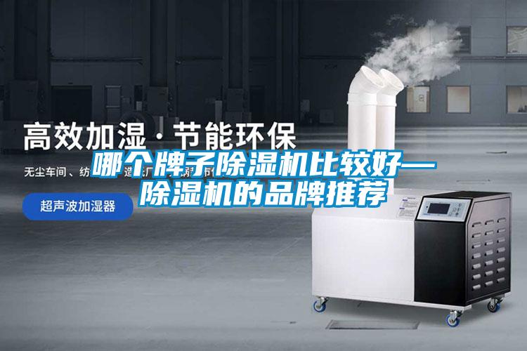 哪個牌子除濕機(jī)比較好—除濕機(jī)的品牌推薦