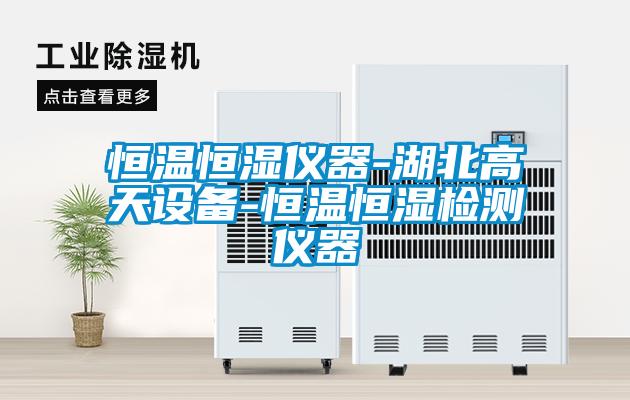 恒溫恒濕儀器-湖北高天設(shè)備-恒溫恒濕檢測(cè)儀器
