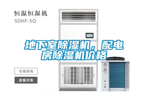 地下室除濕機(jī)，配電房除濕機(jī)價(jià)格