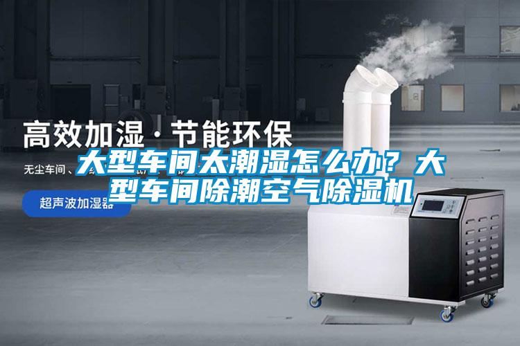 大型車間太潮濕怎么辦？大型車間除潮空氣除濕機(jī)