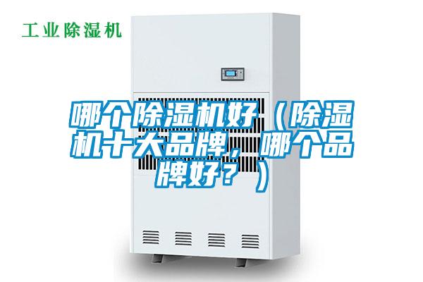 哪個除濕機好（除濕機十大品牌，哪個品牌好？）