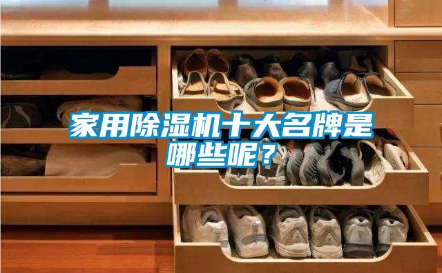 家用除濕機十大名牌是哪些呢？