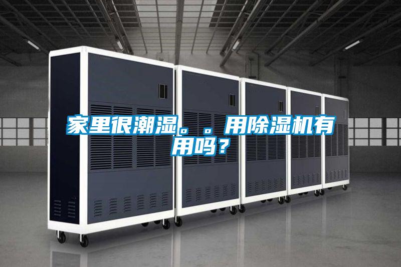 家里很潮濕。。用除濕機(jī)有用嗎？