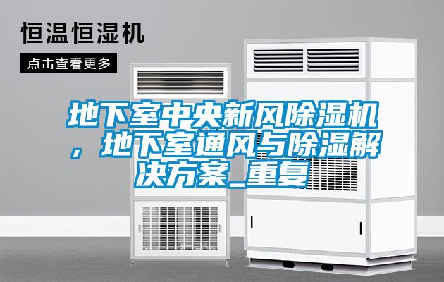 地下室中央新風除濕機，地下室通風與除濕解決方案_重復