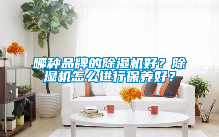 哪種品牌的除濕機(jī)好？除濕機(jī)怎么進(jìn)行保養(yǎng)好？