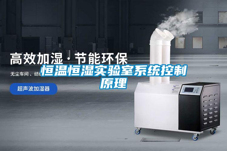 恒溫恒濕實驗室系統(tǒng)控制原理