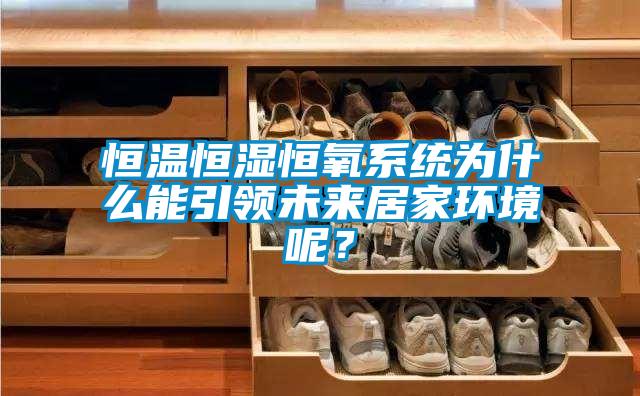 恒溫恒濕恒氧系統(tǒng)為什么能引領(lǐng)未來(lái)居家環(huán)境呢？