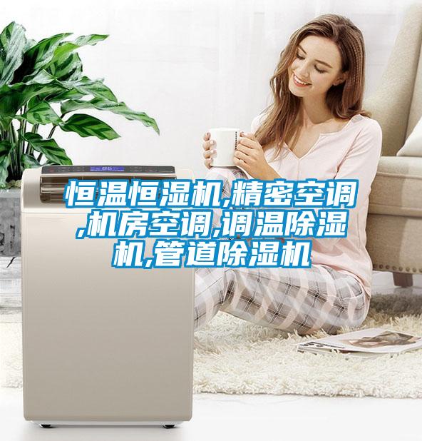 恒溫恒濕機(jī),精密空調(diào),機(jī)房空調(diào),調(diào)溫除濕機(jī),管道除濕機(jī)