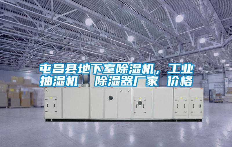 屯昌縣地下室除濕機(jī)，工業(yè)抽濕機(jī)  除濕器廠家 價(jià)格