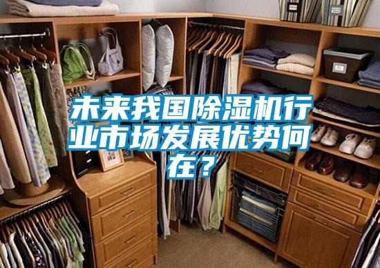 未來(lái)我國(guó)除濕機(jī)行業(yè)市場(chǎng)發(fā)展優(yōu)勢(shì)何在？