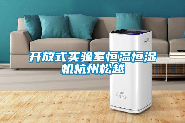 開放式實(shí)驗(yàn)室恒溫恒濕機(jī)杭州松越