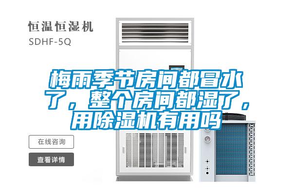 梅雨季節(jié)房間都冒水了，整個房間都濕了，用除濕機有用嗎