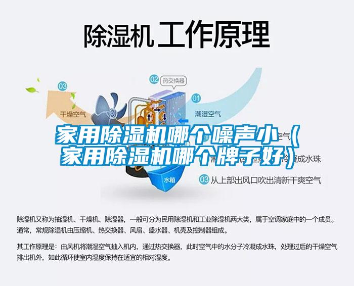 家用除濕機哪個噪聲?。矣贸凉駲C哪個牌子好）