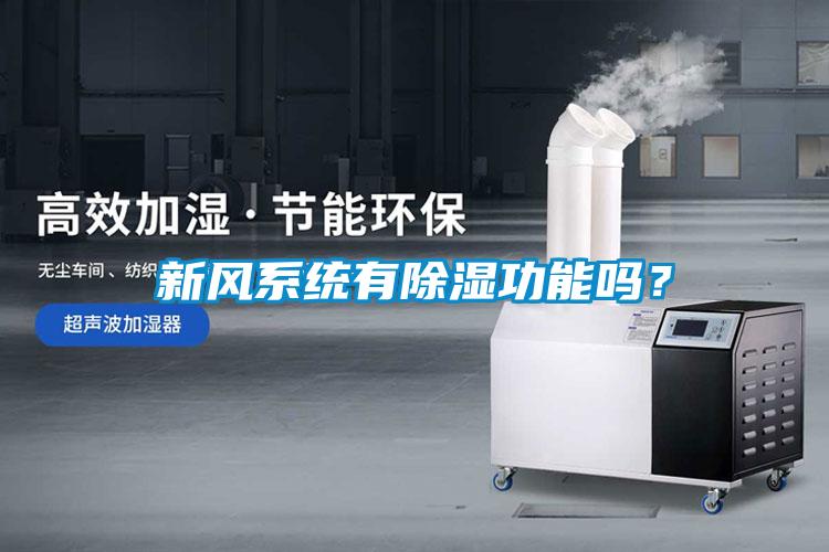 新風(fēng)系統(tǒng)有除濕功能嗎？