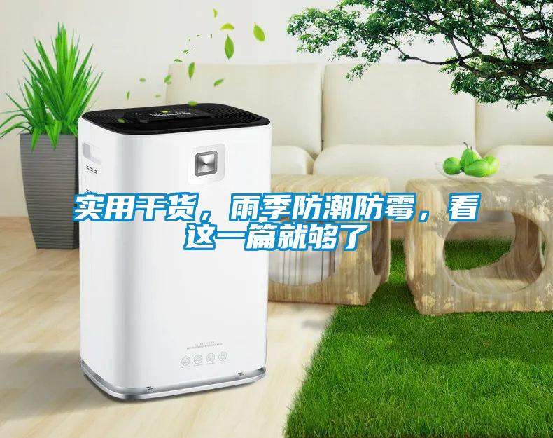 實(shí)用干貨，雨季防潮防霉，看這一篇就夠了