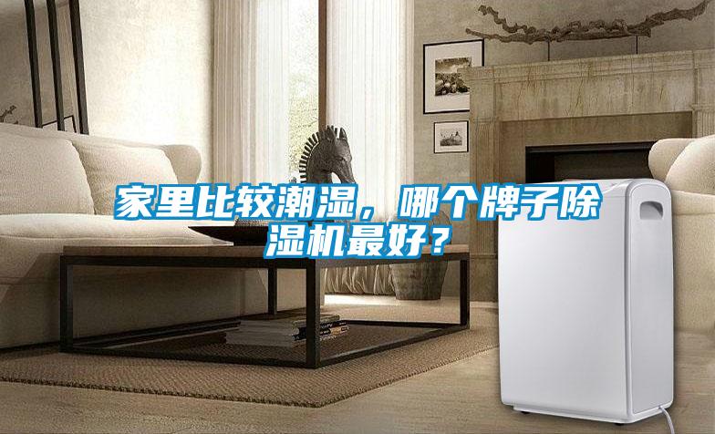 家里比較潮濕，哪個(gè)牌子除濕機(jī)最好？