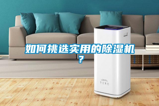 如何挑選實(shí)用的除濕機(jī)？