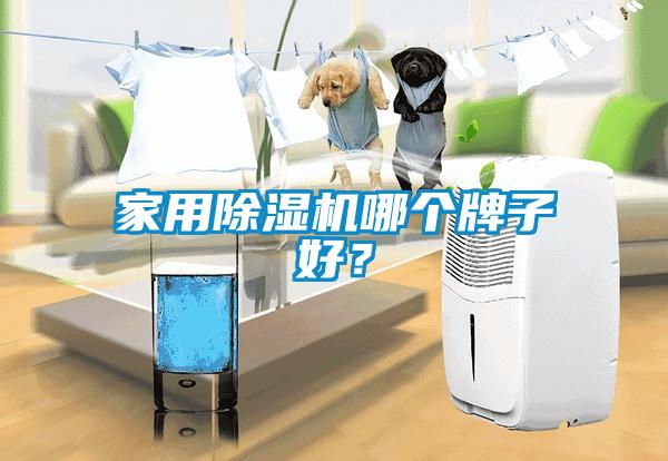 家用除濕機(jī)哪個(gè)牌子好？