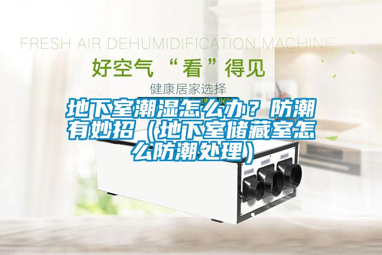 地下室潮濕怎么辦？防潮有妙招（地下室儲藏室怎么防潮處理）