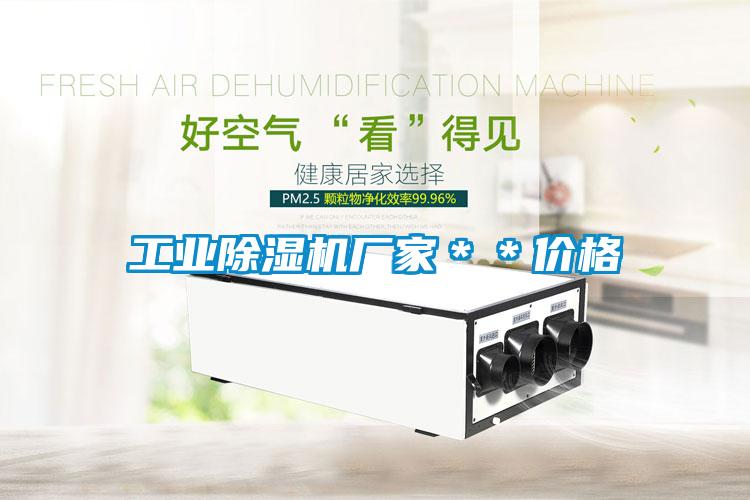 工業(yè)除濕機(jī)廠家＊＊價格