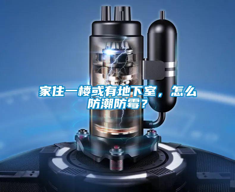 家住一樓或有地下室，怎么防潮防霉？