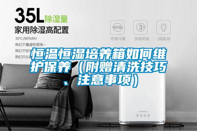 恒溫恒濕培養(yǎng)箱如何維護保養(yǎng)（附贈清洗技巧、注意事項）