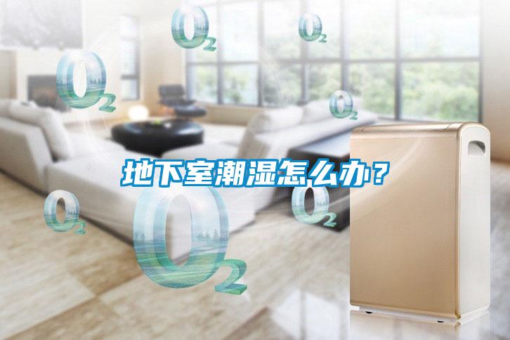 地下室潮濕怎么辦？