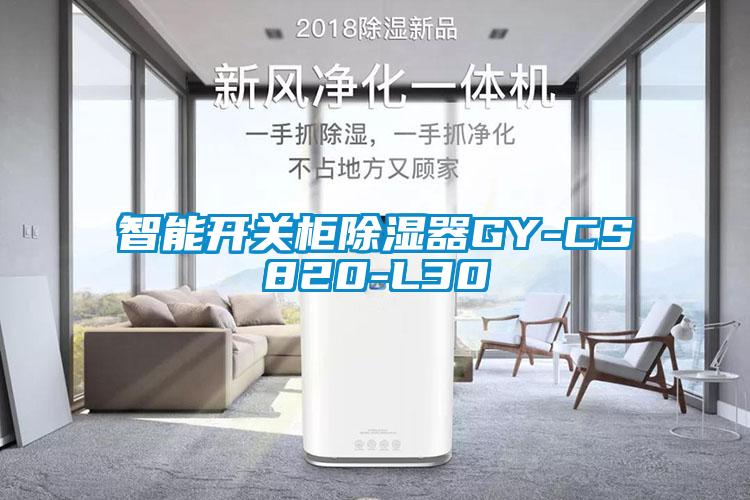 智能開(kāi)關(guān)柜除濕器GY-CS820-L30