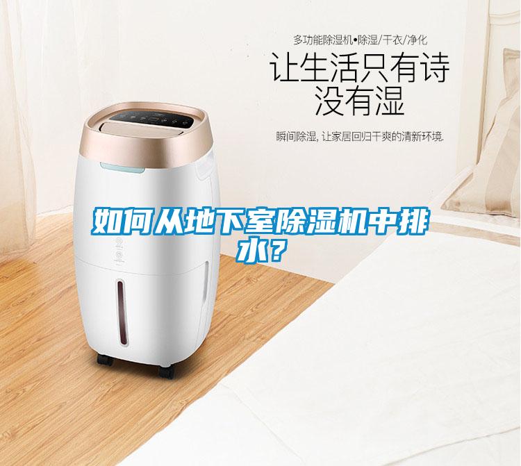 如何從地下室除濕機中排水？