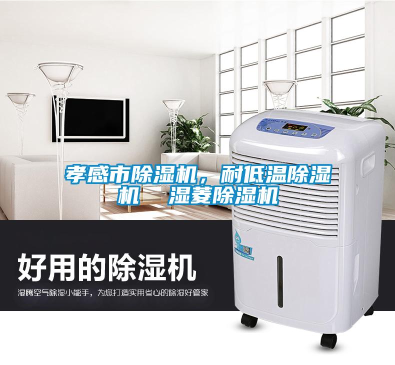 孝感市除濕機，耐低溫除濕機  濕菱除濕機