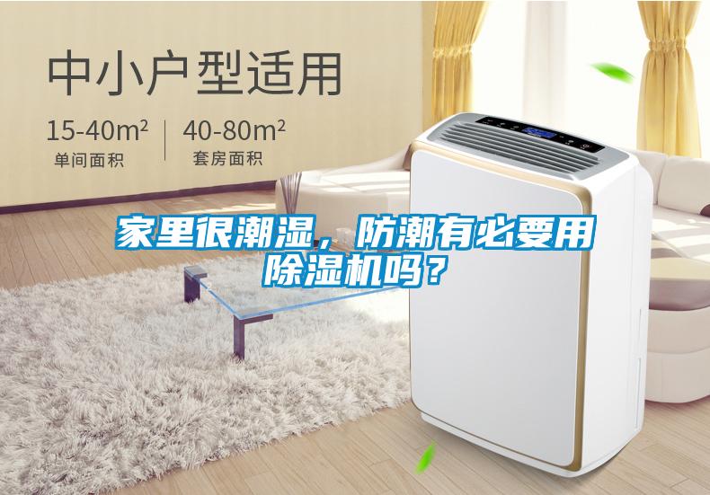 家里很潮濕，防潮有必要用除濕機(jī)嗎？