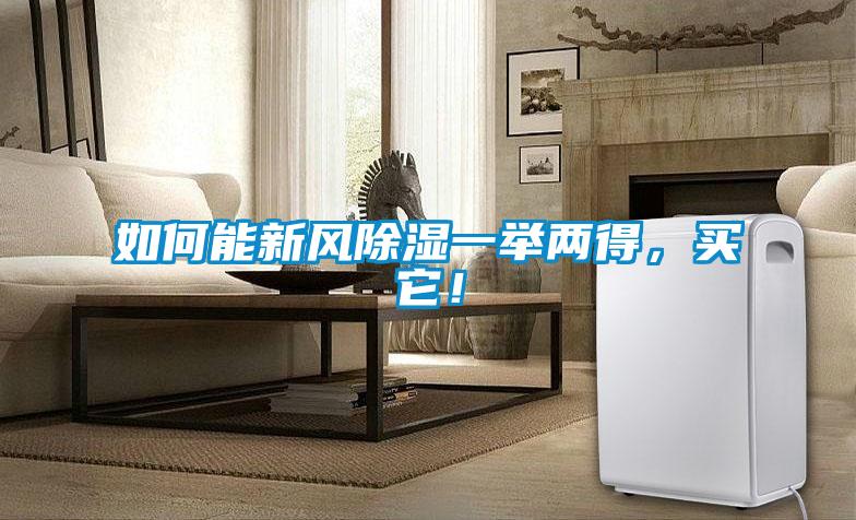 如何能新風(fēng)除濕一舉兩得，買它！