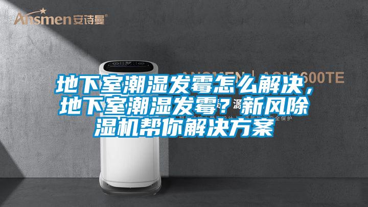 地下室潮濕發(fā)霉怎么解決，地下室潮濕發(fā)霉？新風除濕機幫你解決方案