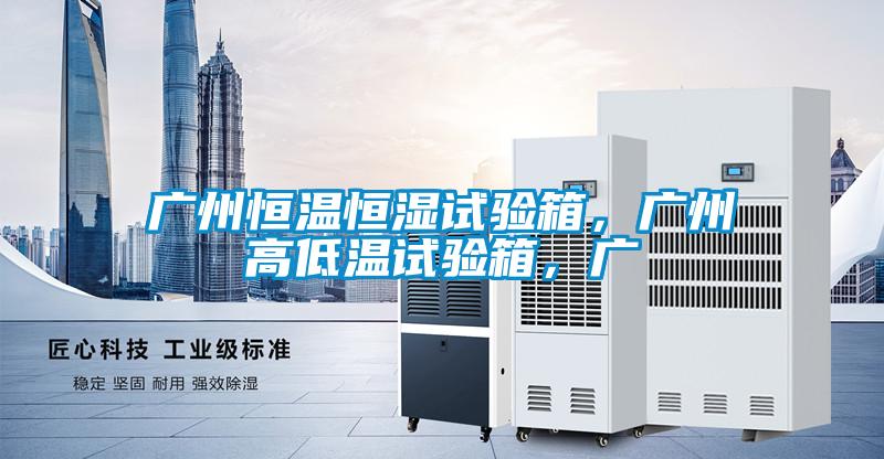 廣州恒溫恒濕試驗(yàn)箱，廣州高低溫試驗(yàn)箱，廣