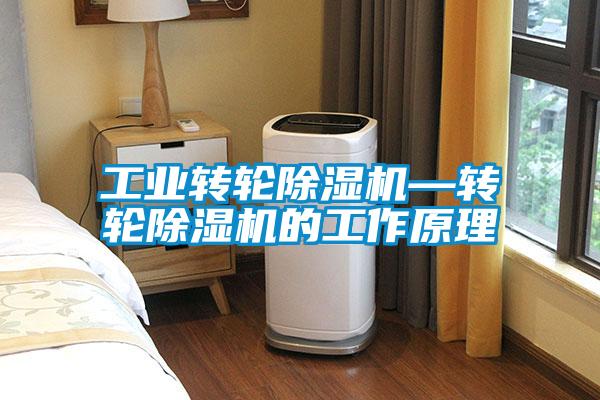 工業(yè)轉輪除濕機—轉輪除濕機的工作原理